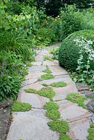Flagged path with Sedum 'Coral Carpet', Buxus sempervirens and Eryngium