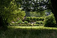 View through trees to lawn - Cothay Manor, Greenham, Somerset, England summer, late June 