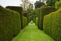 Long allee between tall formal yew hedges with stone font ornament focal point - Cothay Manor, Greenham, Somerset, England summer late June garden 