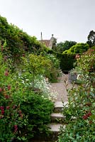 Garden steps and path -  lathyrus grandiflorus honeysuckle lonicera - Cothay Manor, Greenham, Somerset, England summer late June 