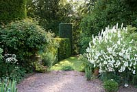 Topiary hedges, flowering shrubs and gravel surface in country garden - Cothay Manor, Greenham, Somerset, England, summer late June 