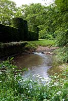 Cothay Manor, Greenham, Somerset. Large hedge beside river 
