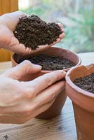 Covering seeds with compost