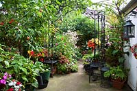 View of trellis and iron seat with Abutilon, Anemone, canna, pots and mixed boarder, late summer London garden, September 