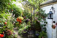 view of trellis iron seat shwoing out house mental kettle with Abutilon, Anemone, canna, pots and mixed boarders, late summer, September 