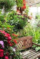 Wooden bench with hanging flowers in pots includes, Bergonias, Osteopsermum 'Tresco'  and Hosta