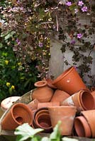 Terracotta pots with hardy Geranium in the back ground
