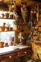 Potting shed full of old tools and pots on shelves with hanging onions