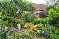 Formal garden in late summer with old sundial, gravel paths, roses, herbaceous perennials and view to lawns with box hedging and old apple tree