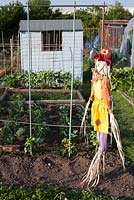 Scarecrow on summery allotment garden
