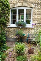 Window with bench and table with pots of Lobelia 'Blue Cascade' and Miscanthus sinesis zebrinus on gravel