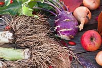 Autumn displays of harvested fruits and vegetables - purple kohl rabi, leeks, apples, onions.