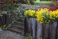 Stairs and raised bed made ​​of wood planks with Alyssum