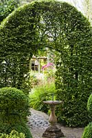 Beech archway -  Sundial and topiary
