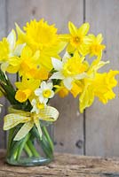 Floral arrangement of Narcissus against wood