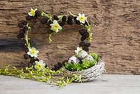 Birds nest planted with moss and Quail eggs with Weeping willow foliage in foreground. Narcissus and Alnus wreath in background.