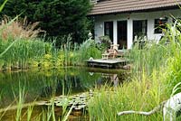 Natural swimming pond with bathing jetty and wooden deckchair -Pond shore is planted with Phragmites australis and Alchemilla mollis - water lilies in pond 