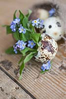Myosotis planted in quail eggs, accompanied with feathers