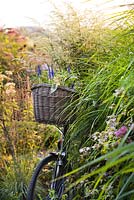 Bicycle with basket of perennials.