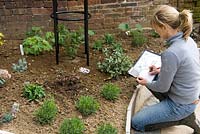 Woman charting plant positions and botanical names in newly created border