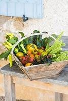 Trug filled with garden produce including tomatoes and chillies