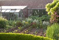 Greenhouse in informal vegetable and cutting garden with Papaver Digitalis Achillea Dianthus Wisteria and Rosa Zepherine Drouhin