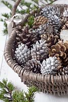 Basket of pine cones - some sprayed with gold and silver paint