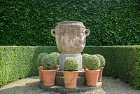 Urn with Variagated Box in Pots at East Ruston Old Vicarage Gardens