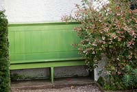 Decorative green painted wooden bench alongside wall of house with Abelia and Euphorbia in autumn