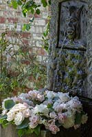 Water spouting on a peony wreath in granite trough next to brick stone wall. Varieties are 'Jan van Leuwen', 'Lady Alexander Duff' and 'Mme. Claude Tain'
