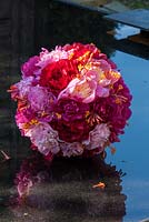 Peony sphere with honeysuckle on a granite water surface; varieties are e.g. 'Karl Rosenfeld', 'Auguste Dessert', 'Bowl of Beauty' and 'Bunker Hill'