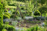The vegetable patches are bordered with box spheres and self sown forget-me-nots. In the middle, a wooden haystack support