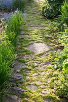 Garden path with a paving of flagstone and granite and grass grown gaps