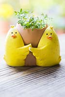 Cress planted in empty egg shell, held by chicken decoration
