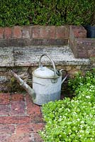 Metal watering with Sweet - Woodruff Galium odoratum in spring - Vale End, Surrey