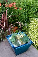Succulents planted in container beside summer border.