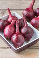 Onion 'Karmen'