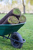 Wheelbarrow containing fresh turf rolls for resurfacing lawn