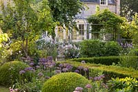 Country garden with Allium, Sweet Rocket, Persicaria, clipped Buxus balls and hedges and decorative features. The Old Rectory, Dorset