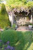 Wooden seat with stone pillars clipped Yew pyramid alongside and overhanging Wisteria and Buxus ball. The Old Rectory, Dorset