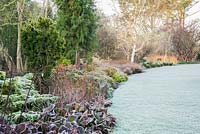 Frosty Winter garden includes colourful stems such as birches and dogwoods, evergreens such as bergenia, Euonymus minimus, Nandina domestica and clipped box balls. Sir Harold Hillier Gardens, Ampfield, Romsey, Hants, UK