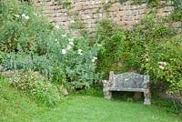 Stone bench surrounded by Romneya coulteri and roses. Mapperton House, Beaminster, Dorset, UK