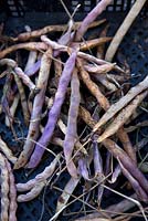 Dried french beans