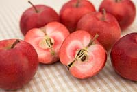 Malus 'Redlove Era' Apples - one halved revealing red flesh