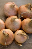 Onion 'Stuttgarter Stanfield'