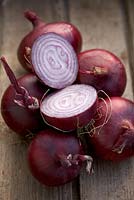 Onion 'Red Baron'