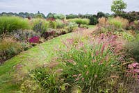 Grass path through summer borders. Pennisetum orientale 'Karley Rose',  Echinacea purpurea. Tuin de Villa