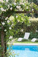 Swimming pool at Chateau Rigaud, with pergola covered with roses