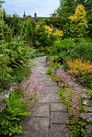 Paved pathway curving towards house. Plants include Saxifraga x urbium - London Pride, phormium - fern, Spiraea japonica 'Goldflame', Primula bulleyana, Gunnera manicata