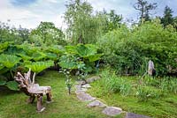View of pond area with sculpted wooden seat and driftwood water feature. Plants include Gunnera manicata,  Ranunculus lingua - water buttercup  in pond, and Salix - willows behind
